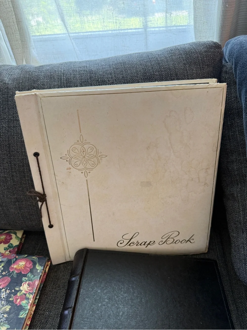 Lot of vintage photo books